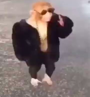 A low-resolution, vintage-looking video still of a bald person wearing sunglasses, a gold chain, dark jacket, and dark pants, posing and pointing in an outdoor setting.