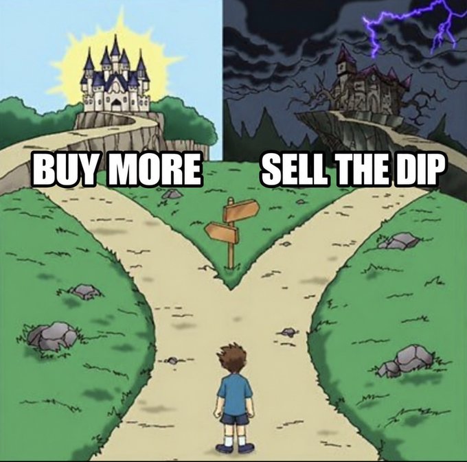 A split-screen meme shows a cartoon boy standing at a crossroads; the left side depicts a bright, sunny castle path labeled 'BUY MORE', while the right side shows a dark, stormy castle path labeled 'SELL THE DIP'.