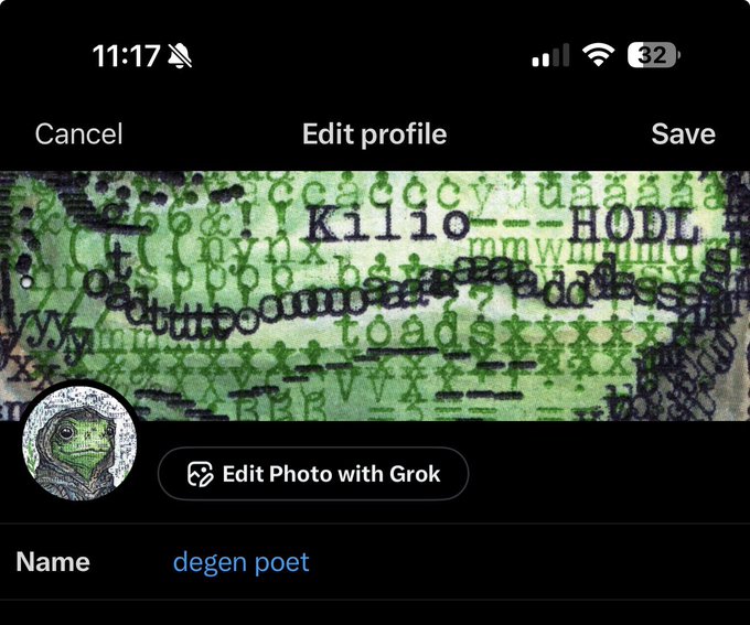 The image shows a social media profile edit screen with the username "degen poet" and an "Edit Photo with Grok" button, where the cover photo displays a green text-art mural reading "Kilio--HODL," "toads," and "frogs are deadbe," alongside a Pepe the Frog profile picture. The post's comment "there's it as a pfp" refers to the displayed Pepe avatar now being used as the user's profile picture.