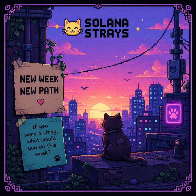 A pixel-art scene titled "Solana Strays" shows a cat gazing at a purple-pink sunset cityscape from a rooftop, with notes reading "NEW WEEK NEW PATH" and "If you were a stray, what would you do this week?"—directly echoing the post's theme of embracing a new week with stray-like curiosity and adventure.