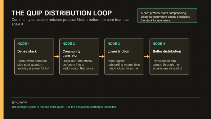 The image shows a slide from a presentation about the Quip Distribution Loop, which is a community-driven product workflow that uses a network of nodes to distribute information across multiple users. The focus of the presentation is on the ecosystem's ability to produce its own education layer and how it can be used as an educational tool for others.