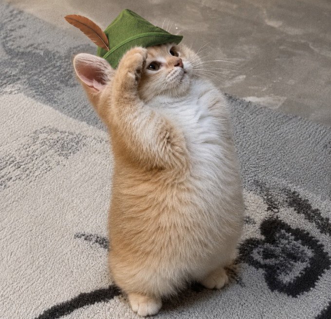 An adorable cream-colored kitten stands on its hind legs wearing a green Robin Hood-style hat with a feather, looking upward with one paw raised on a patterned rug.