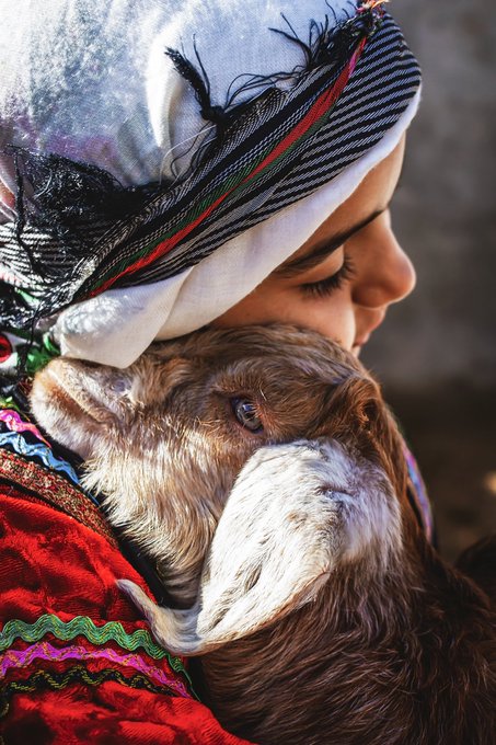 A tender close-up of a person wearing a patterned headscarf hugging a brown baby goat against a colorful embroidered garment.
