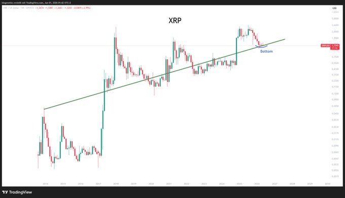 xtrp is shown as a red line with a green trendline, indicating that the price of XRP has been increasing over time.