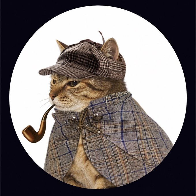 An image of a cat wearing a plaid detective cap and a matching plaid cape, smoking a pipe, framed within a black circle against a dark background.