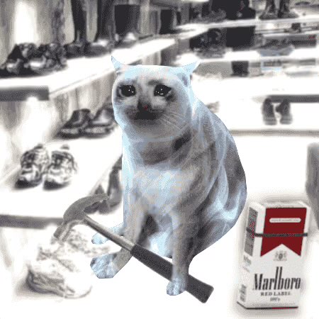 A surreal, glitchy image of a cat holding a hammer next to a carton of Marlboro cigarettes, set against a distorted black-and-white background.