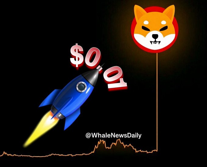 A digital illustration showing a blue rocket launching with '$0' text next to it, alongside a Shiba Inu dog logo and a declining price chart, with the handle '@WhaleNewsDaily' displayed.