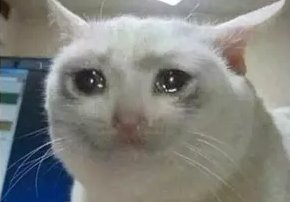 A close-up of a white cat with large, teary, glistening eyes that give it a deeply emotional, almost pleading expression. The caption "The meme became the holders" suggests that what began as a simple internet joke has now emotionally captured its audience, just as this cat's soulful gaze captures the viewer's sympathy.