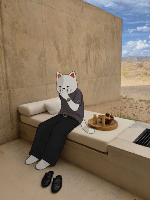 A white cat in a purple shirt and dark pants sits on a concrete outdoor sofa next to a tray of food and drinks, holding a paw to its mouth, with shoes placed on the floor.