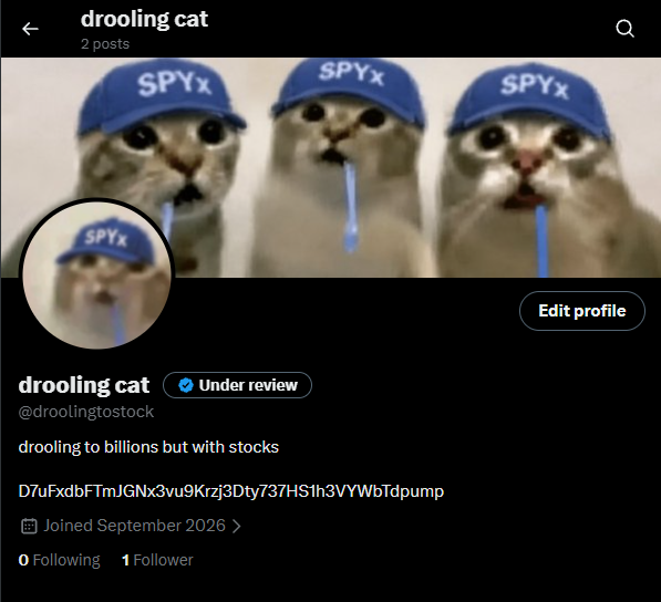 An X/Twitter profile for 'drooling cat' (@droolingtostock) featuring a meme cat in a blue 'SPYX' cap drooling, with bio 'drooling to billions but with stocks' and an account address visible.