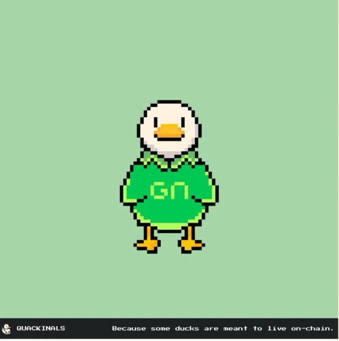 A pixel art illustration of a white duck wearing a green hoodie on a light green background, branded 'QUACKINALS' with the tagline 'Because some ducks are meant to live on-chain.'