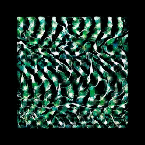 An abstract digital artwork or texture featuring dark green, teal, and white organic, leaf-like or scale-like patterns on a black background.