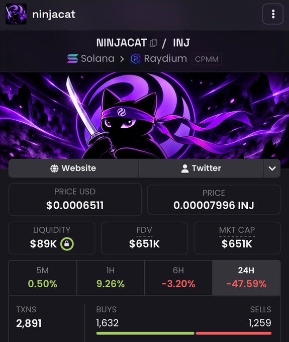 Token page for NINJACAT on Raydium (Solana) paired with INJ, showing a price of $0.0006511, $89K liquidity, and a 24H drop of -47.59%.