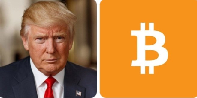 The image is a split graphic showing Donald Trump on the left and the orange Bitcoin (₿) logo on the right, visually reinforcing the post's claim about potential U.S. government action to actively accumulate Bitcoin for a Strategic Bitcoin Reserve.