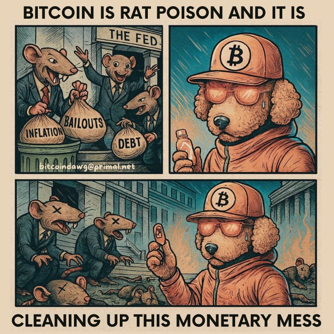 A four-panel political cartoon titled 'BITCOIN IS RAT POISON AND IT IS CLEANING UP THIS MONETARY MESS,' depicting anthropomorphic rats associated with 'THE FED' and a dog character wearing Bitcoin-themed apparel, with the email 'bitcoindawg@primal.net'.