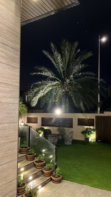 A nighttime view of an outdoor courtyard featuring a large illuminated palm tree, artificial green turf, stone steps lined with potted plants, and outdoor seating.
