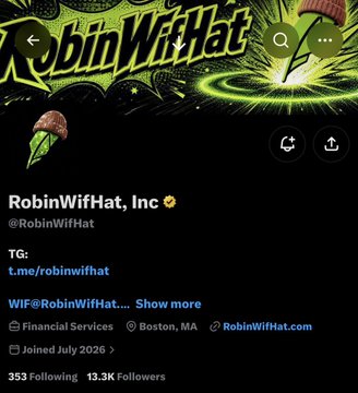 A Twitter/X profile screenshot for 'RobinWifHat, Inc' (@RobinWifHat) showing 353 Following and 13.3K Followers, with a green wizard hat logo.