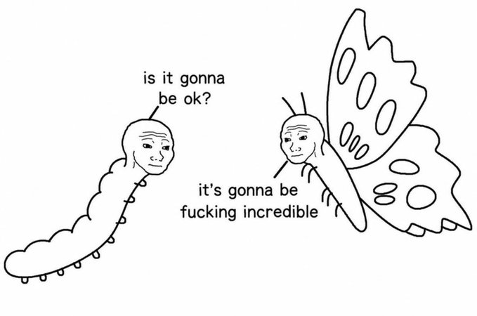 A simple line drawing meme showing a caterpillar asking 'is it gonna be ok?' while a butterfly with a stoic Wojak face responds 'it's gonna be fucking incredible.'