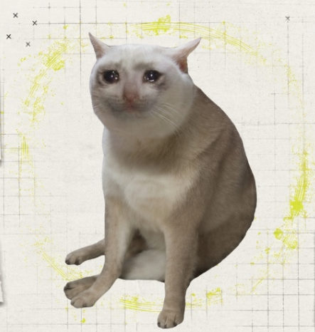 A cream-colored cat with blue eyes sits centered against a grid background with yellow paint splatters, humorously personifying the "$CASHCAT" memecoin referenced in the post about Robinhood's rapid rise from $12M to $136M in 6 hours. The cat's content, "smug" expression playfully reinforces the post's ironic tone about treating NFTs and memecoin trading as a 9-to-5 "job."
