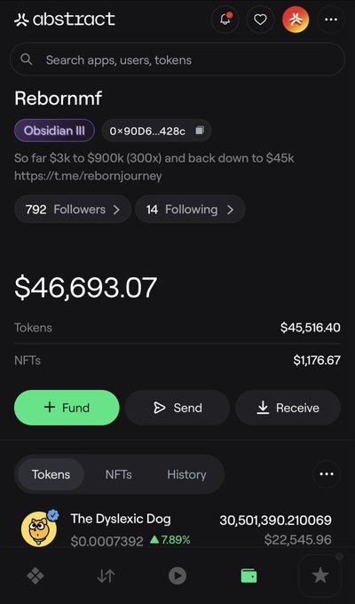 A screenshot of the Abstract wallet app shows the account "Rebornmf" (Obsidian III tier) with a current balance of $46,693.07, down from its description noting a previous peak of "$3k to $900k (300x) and back down to $45k." The wallet's top holding is "The Dyslexic Dog" token, valued at $22,545.96, illustrating the dramatic decline referenced in the caption about the wallet once being worth over $900K.