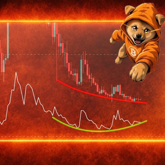 A Shiba Inu dog wearing an orange hoodie with a Bitcoin 'B' logo leaps in front of a red-toned cryptocurrency chart showing a downward candlestick trend and a curved bottom support line.