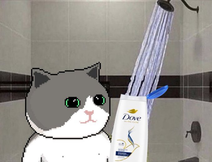A pixelated cat meme with green teary eyes stands in a tiled shower next to a bottle of Dove body wash, as water pours down from the showerhead above.