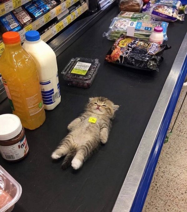 A tabby kitten lies stretched out on its back, contentedly sleeping on a supermarket checkout conveyor belt surrounded by groceries like orange juice, milk, and Nutella.