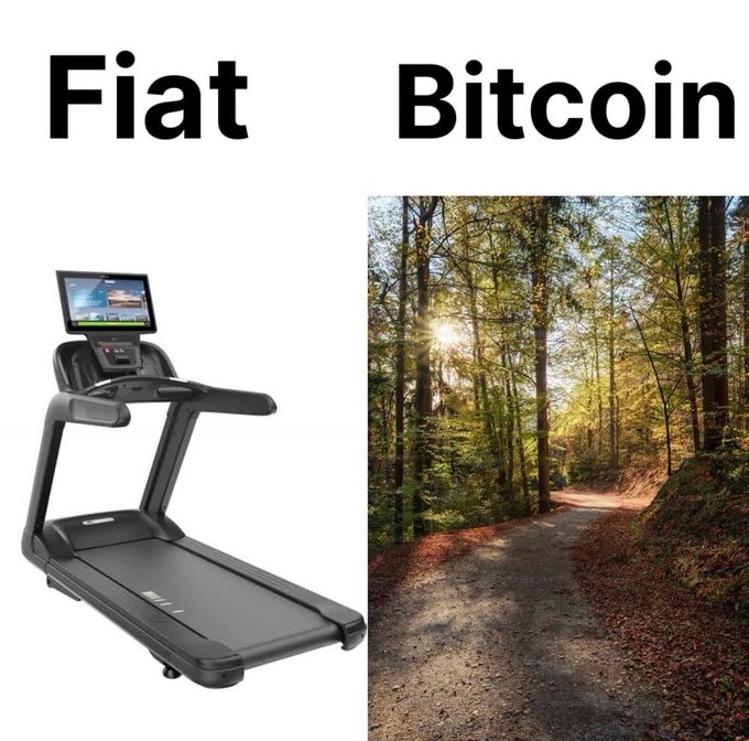 A meme contrasting 'Fiat' with an image of a treadmill and 'Bitcoin' with an image of a forest path bathed in sunlight.