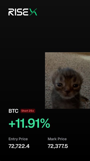 A trading screenshot shows a BTC short position at 25x leverage currently up +11.91%, with an entry price of 72,722.4 and mark price of 72,377.5, accompanied by an image of a small, wide-eyed kitten that illustrates the trader's mocking reference to "pussies" who fake bearishness for engagement.