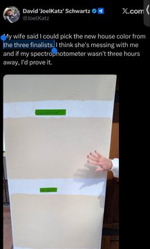 A tweet from David 'JoelKatz' Schwartz stating his wife could pick the new house color from the three finalists, joking that her spectrophotometer wasn't three hours away, with paint swatches visible below.