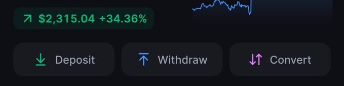 A financial app screen displays a balance of '$2,315.04 +34.36%' with options for 'Deposit', 'Withdraw', and 'Convert' alongside a stock chart.