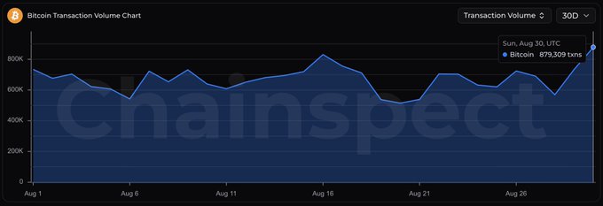 Bitcoin Transaction Volume Chart from ChainSpect showing 30-day data, with Sunday Aug 30 UTC showing 879,309 transactions and a recent upward spike.