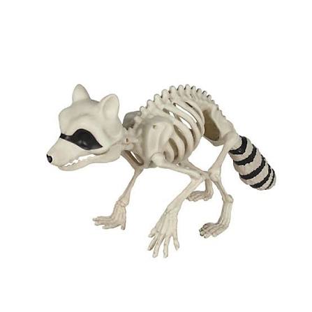 A skeleton of a raccoon with black rings on its tail is shown, symbolizing the "dead" status mentioned for $JIMOTHY holders. The accompanying post further emphasizes this by stating "jimodead can't die" and provides a transaction ID.