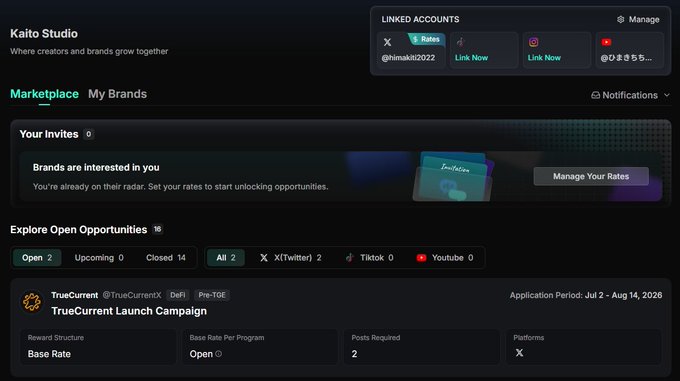 The Kaito Studio dashboard displays a creator marketplace interface with linked accounts for X (@himakiti2022), TikTok, and Youtube, showing 2 Explore Open Opportunities including a "TrueCurrent Launch Campaign" with an application period of Jul 2 - Aug 14, 2026.