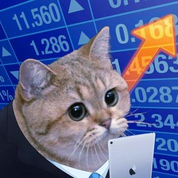 A cat with big eyes wearing a suit holds an iPhone in front of a stock ticker board showing rising numbers like 11.560, 1.286, and an orange upward arrow, humorously representing the "Catecoin" crypto token hitting 100k market cap, with the contract address 0xa3b9120593c93169e36a0cdea1324584b745e03f displayed.