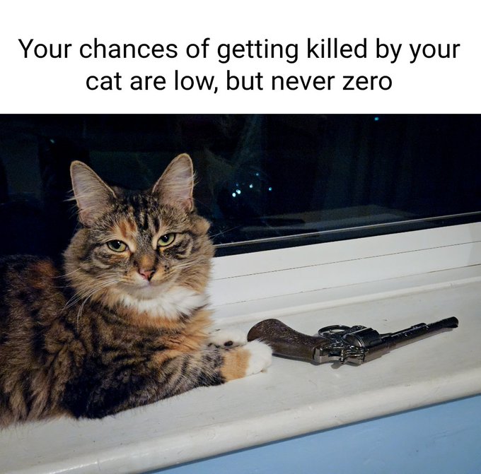A meme showing a long-haired tabby cat lying next to a revolver on a windowsill with the caption 'Your chances of getting killed by your cat are low, but never zero'.