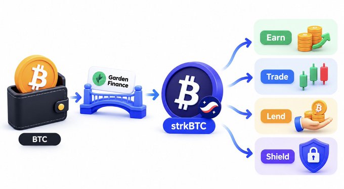 Infographic showing a BTC wallet connecting through 'Garden Finance' bridge to 'strkBTC', then branching into four options: Earn, Trade, Lend, and Shield.