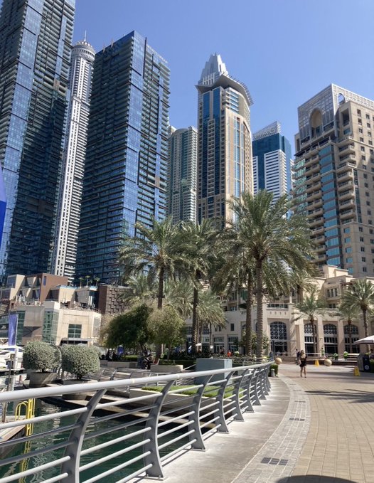 A daytime photograph of Dubai Marina showing numerous tall modern skyscrapers, palm trees, and a waterfront promenade with metal railings along the walkway.
