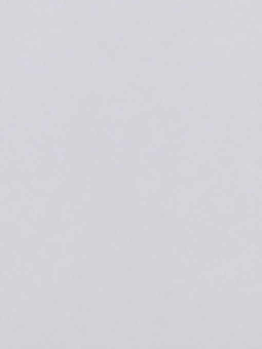 A blank, light gray textured image with no visible subjects or details.