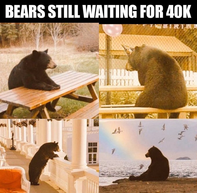 A meme titled "BEARS STILL WAITING FOR 40K" showing four images of black bears patiently waiting in various contemplative poses.