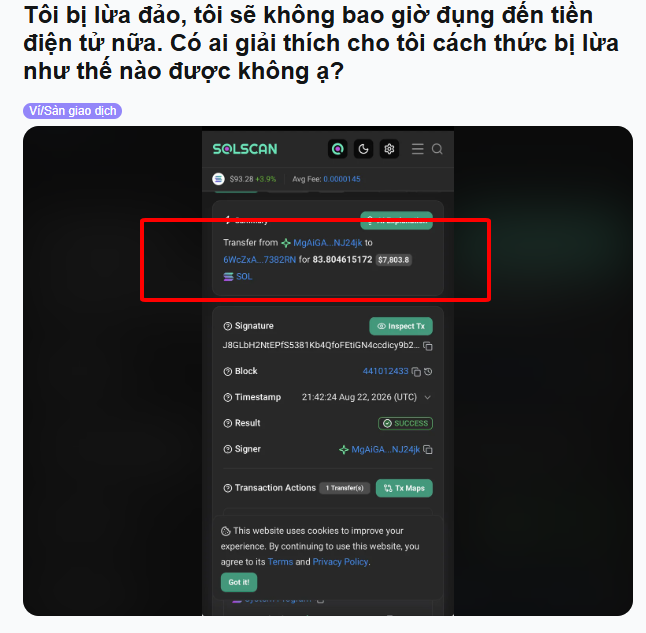 A screenshot in Vietnamese about being scammed out of cryptocurrency, showing a Solscan transaction record with a red box highlighting a transfer of 83.80461572 SOL.