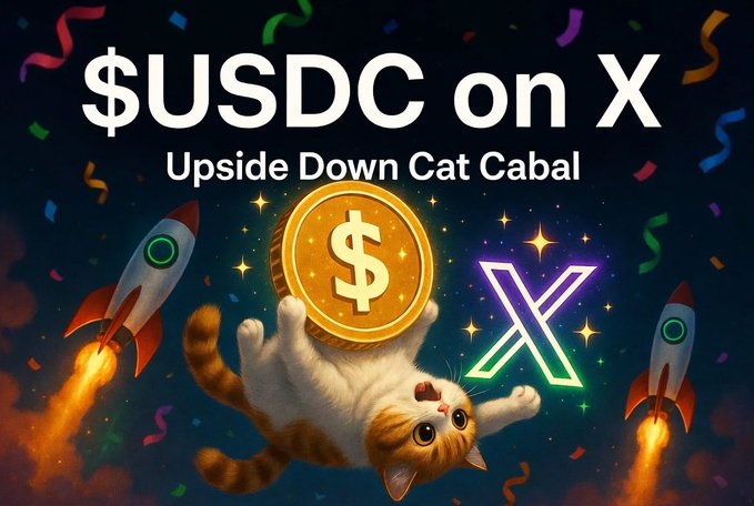 The image features a cartoon cat holding up a gold coin, with two rockets flying behind them. The background of the image is dark blue, creating an atmosphere for the scene. The caption below the image reads "$USDC ON X Upside Down Cat Cabal". This suggests that there might be some sort of promotion or contest related to the Upside Down Cat Cabal and USDC.