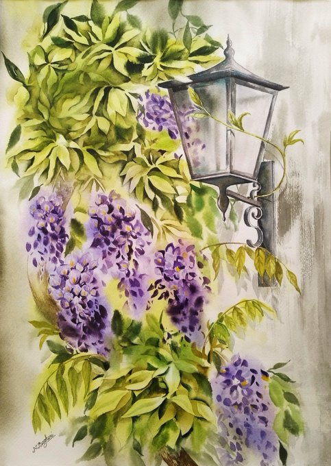 A watercolor painting of purple wisteria flowers and green leaves surrounding a vintage wall-mounted lantern.