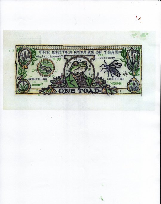 A decorative novelty bill titled 'THE UNITED STATES OF TOADS' featuring a toad in a suit in the center, with text 'ONE TOAD' and various phrases like 'Everything I have' and 'Around me.'