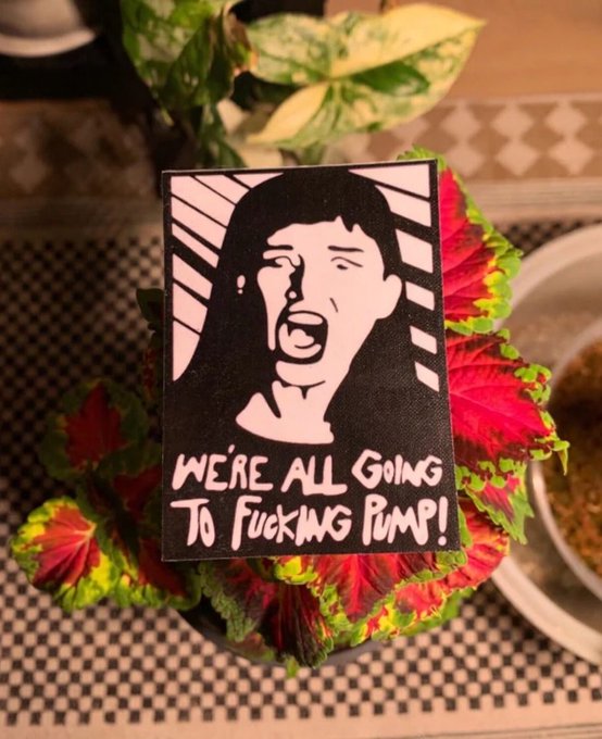 A small canvas art print featuring an illustrated black-and-white image of a screaming woman with the text "WE'RE ALL GOING TO FUCKING PUMP!" sits among vibrant red and green coleus leaves on a checkered table. The dramatic, panic-stricken artwork visually reinforces the post's urgent warning about an imminent price surge.