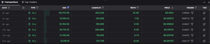 A dark-themed cryptocurrency or stock trading interface showing a 'Top Traders' table with columns for Date, Type, USD, CASHCAT, WETH, Price, and Trader address.