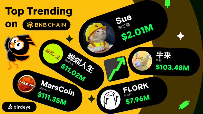 A promotional graphic titled "Top Trending on BNB Chain" showcases five meme coins with their respective logos and market values: $Sue ($2.01M), 蝴蝶人生 ($11.02M), $MarsCoin ($111.35M), 牛来 ($103.48M), and $FLORK ($7.96M). The colorful yellow and black design by Birdeye highlights each token alongside an illustration of a bee mascot, visually complementing the post's breakdown of trending BNB Chain plays.