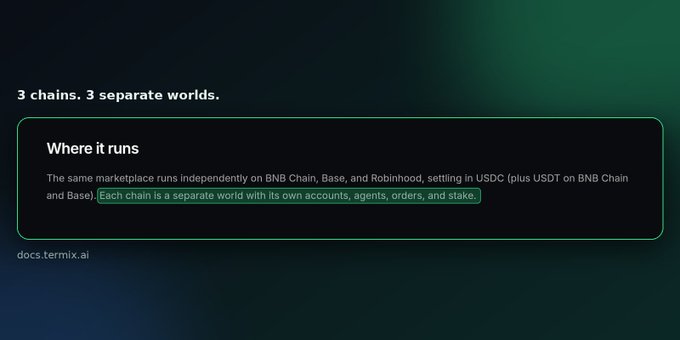 A dark-themed informational slide titled '3 chains. 3 separate worlds.' explaining that 'The same marketplace runs independently on BNB Chain, Base, and Robinhood' from docs.termix.ai.