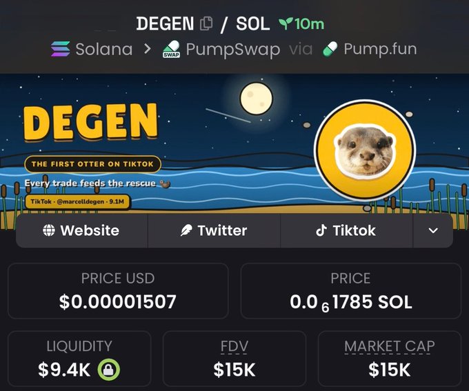 A cryptocurrency trading interface for DEGEN/SOL on the Solana blockchain via PumpSwap on Pump.fun, showing a price of $0.00001507 and 0.01785 SOL, with a cartoon otter logo and links to its Website, Twitter, and Tiktok.