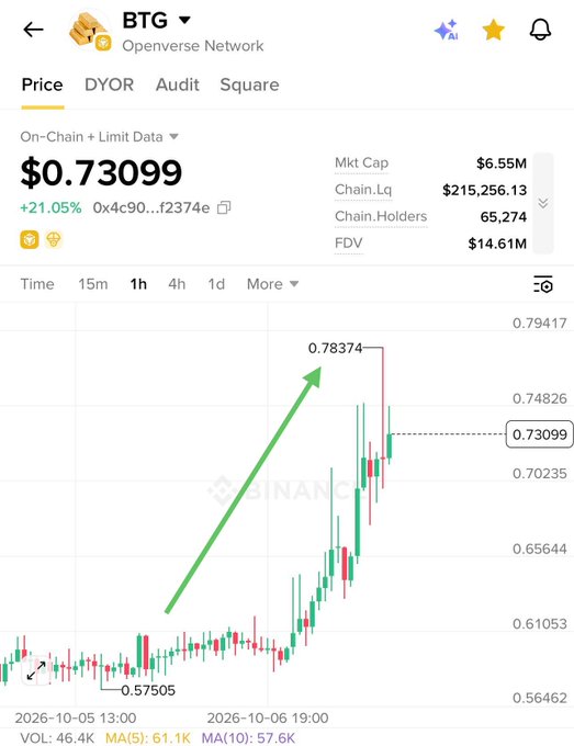 A cryptocurrency price chart for token BTG (Openverse Network) showing a +21.05% gain with a green arrow pointing up to 0.78374, with current price at $0.73099 and market cap of $6.55M.